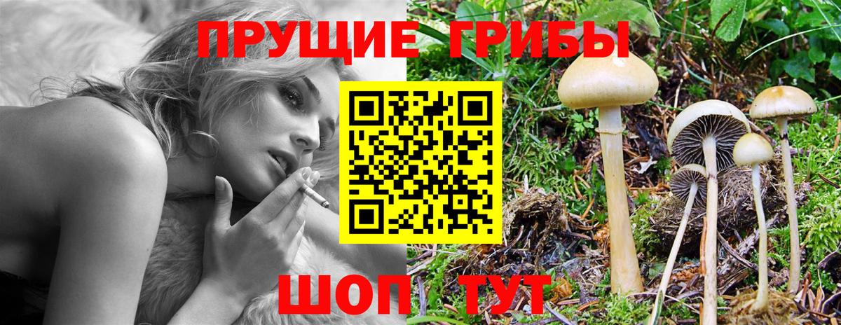 Псилоцибиновые грибы мицелий Черкесск