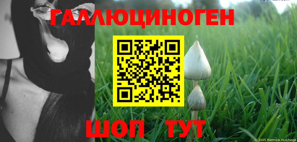 Черкесск  Псилоцибиновые грибы ЛСД  Вход с VPN 