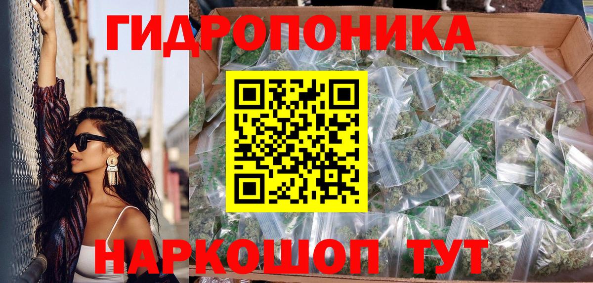 Бошки марихуана ГИДРОПОН  Вход с VPN  Черкесск  Марихуана MAZAR  МАРИХУАНА план  Марихуана тримм 